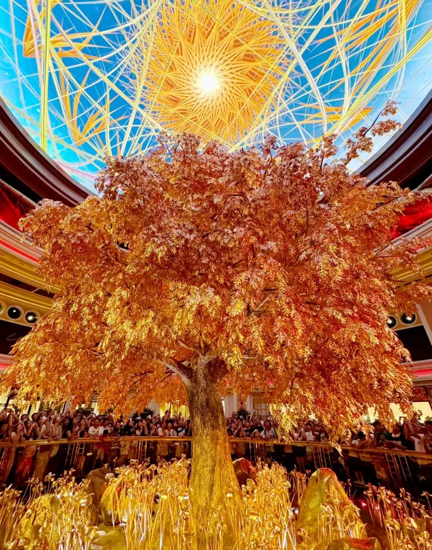 2天时间，赢600万是一种什么样的体验